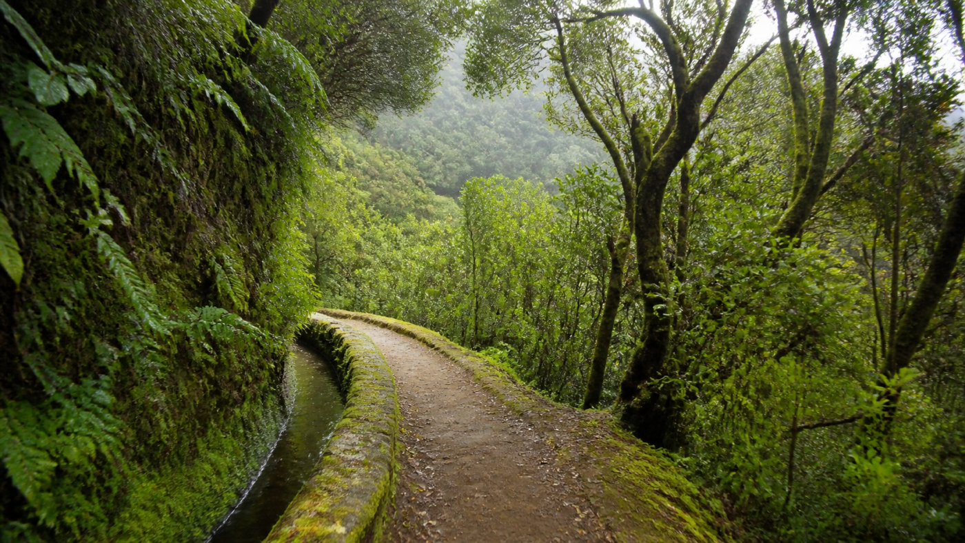 Madeira Levada-Wanderung: Warum leicht oft besser ist als Gipfelstress