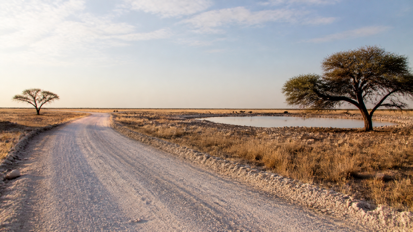 Etosha Selbstfahrer-Safari: So planst du einen ruhigen Tag im Park